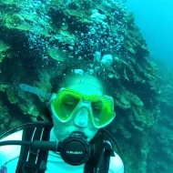 #ScubaDiving