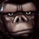 The Guerrilla CG Project
