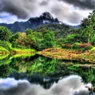 Ambient Music - Topic