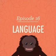 #Language