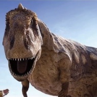 #Dinosaur
