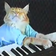 #KeyboardCat