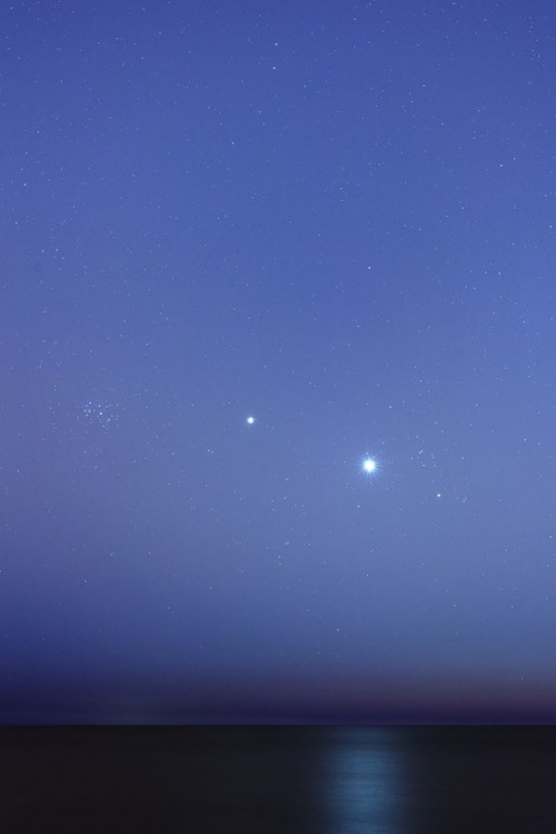 n-a-s-a:

Conjunctions near Dawn 
Image Credit &amp; Copyright: Luis Argerich 
