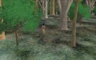 How Google Earth Is Preserving, Sharing Indigenous Culture