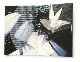 Nachtvogel_Seite_09_klein_Freisteller_flat_NEU
