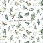Edwyn Collins: Losing Sleep