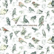 Edwyn Collins: Losing Sleep