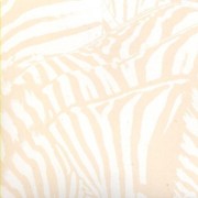 Beach House: Teen Dream