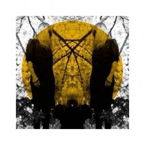Austra: Feel It Break