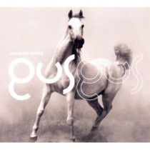 Gus Gus: Arabian Horse