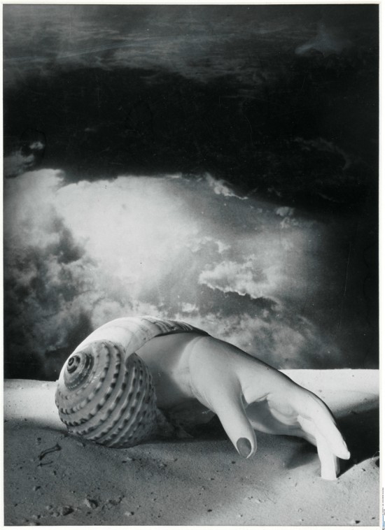 Dora_Maar_Sans_Titre__Main-coquillage_