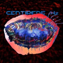 Animal Collective: Centipede Hz