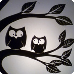 owls