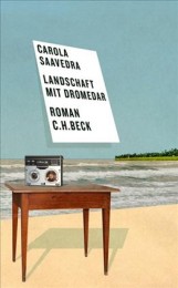 Carola Saavedra _ Landschaft mit Dromedar.jpg