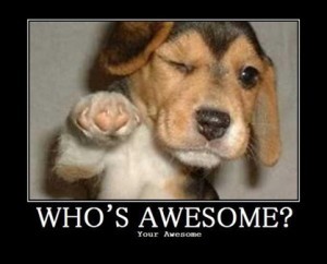 Moore_awesome4