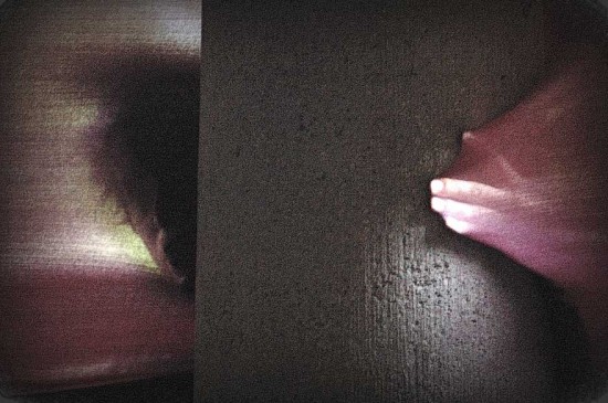 ghost-of-rosenthal-WEB