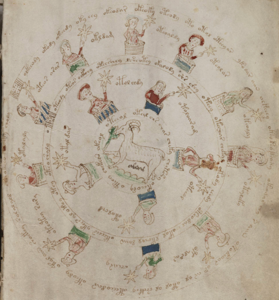 voynich ausschnitt
