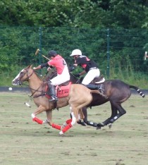 Polo1