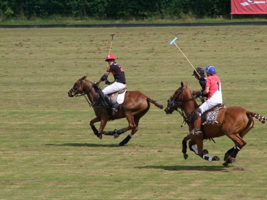 Polo2