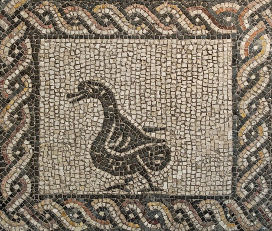 Mosaic_ducks_Massimo