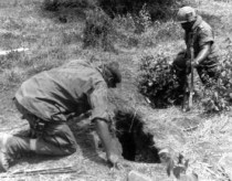 Eine „Tunnelratte“ der 1. US-Kavalleriedivision steigt in ein Tunnelsystem (Wikimedia commons)