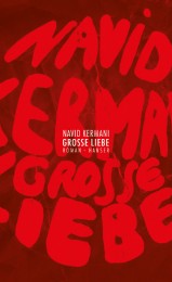 Navid Kermani_Grosse Liebe