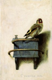 „Fabritius-vink“ von Carel Fabritius - www.mauritshuis.nl : Pic : Info nl.Info en.. Lizenziert unter Public domain über Wikimedia Commons - http://commons.wikimedia.org/wiki/File:Fabritius-vink.jpg#mediaviewer/File:Fabritius-vink.jpg