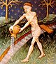 wassermann_wiki