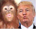 Trumporilla_Adcock7