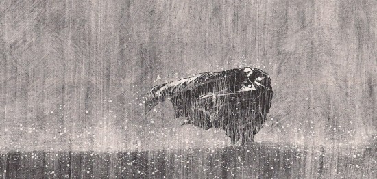 blast-Larcenet-blast-pluie