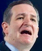 Adcoc Cruz Suckers