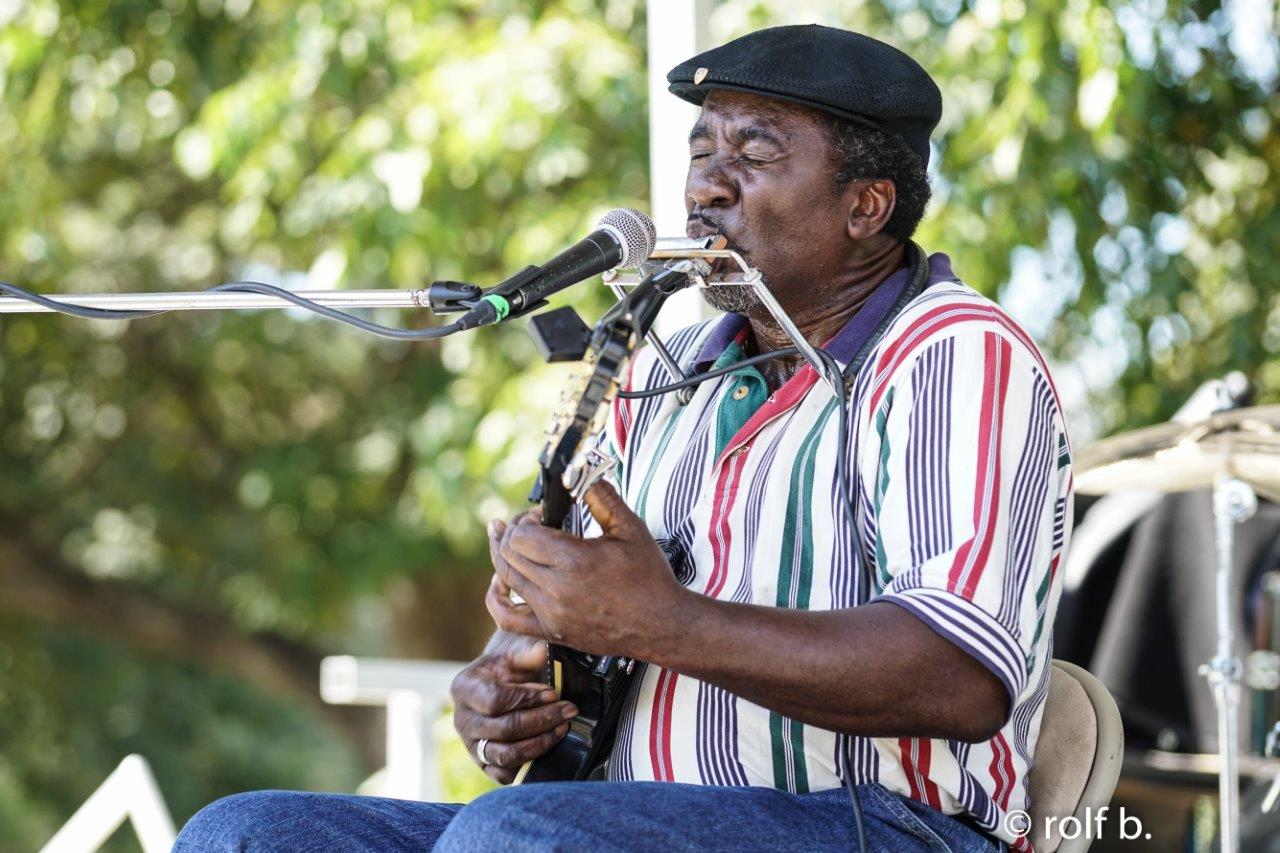 11terry-harmonica-bean