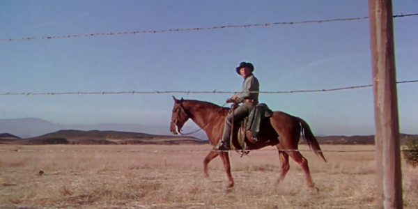 man-without-a-star-1955-720p-brrip-x264-ac3-playnow-mkv_10-11-2016-21-04-00