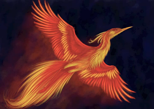 feuervogel
