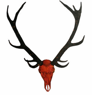 Platzhirsch