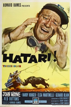 HATARI