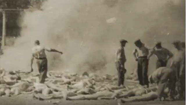 Auschwitz