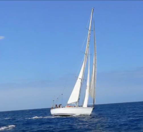 schiff
