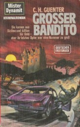 461_ Grosser bandito300