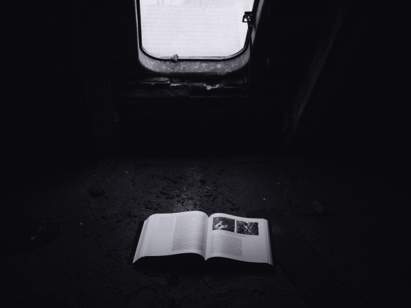 Aufschlagen. Abtauchen. (c) Christopher Werth