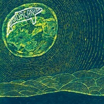 superorganism