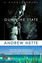 nette gunshine neucover-smaller