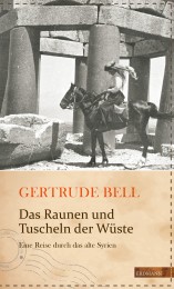 Cover_Reiseschriftstellerinnen.indd