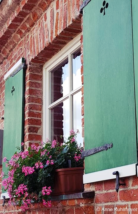fenster