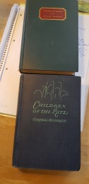 woolrich-bücher