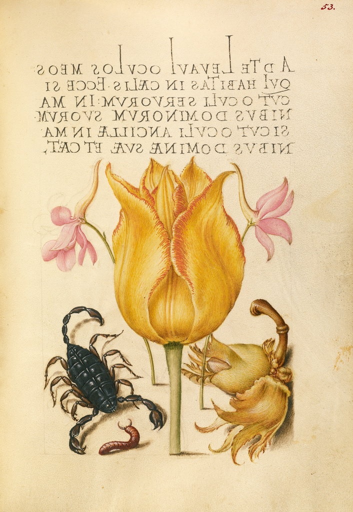 Getty Commons Collection, merci beaucoup