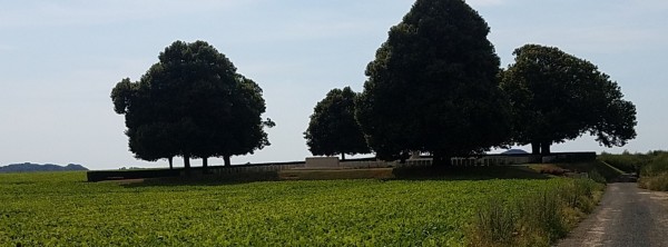20180706_165749 (3)