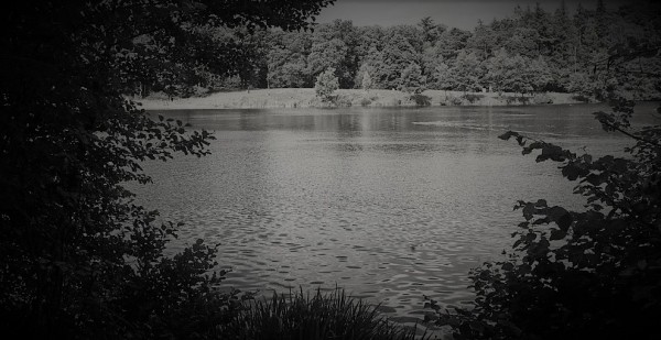 See_34