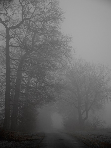nebel