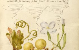 Digital image courtesy of the Getty's Open Content Program.